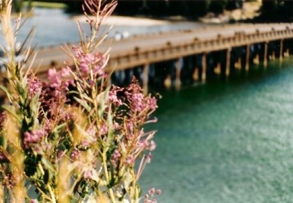 Fisherman's Bridge